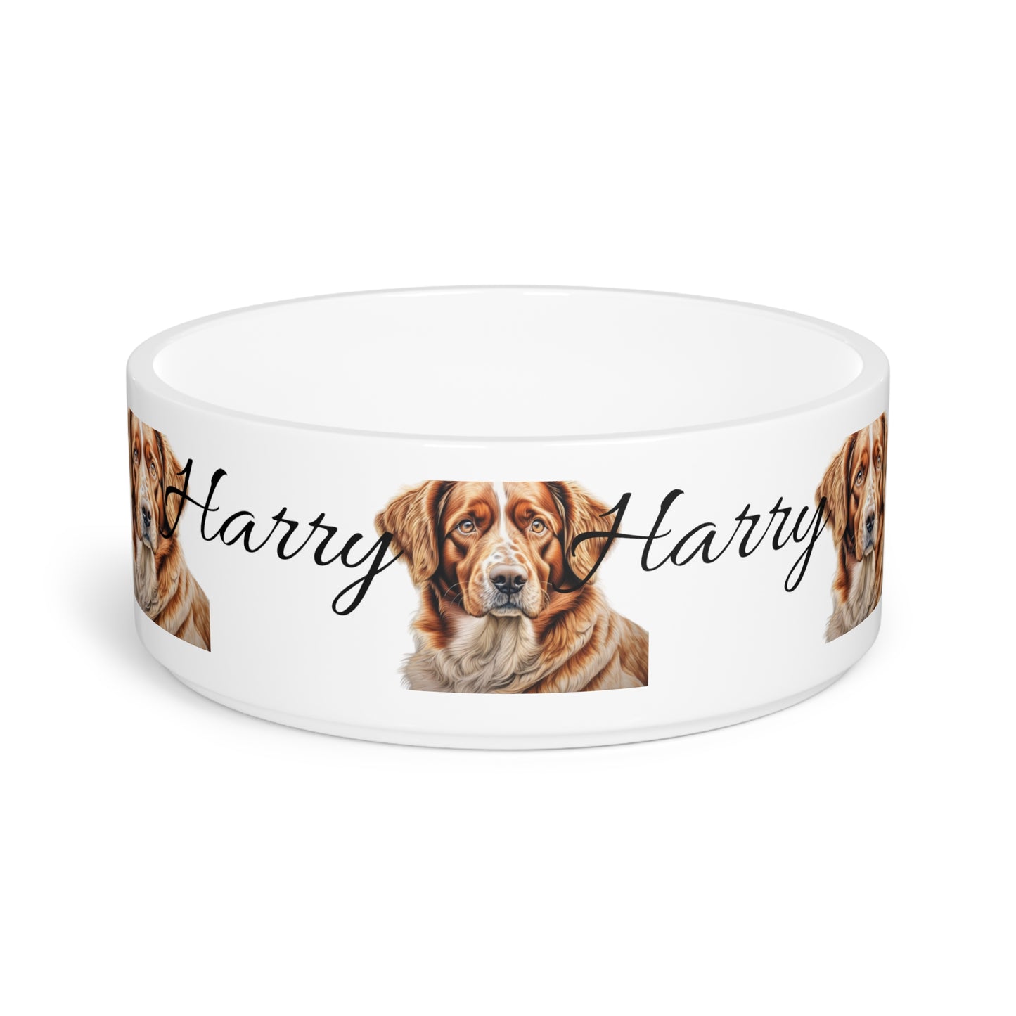 Pet Bowl