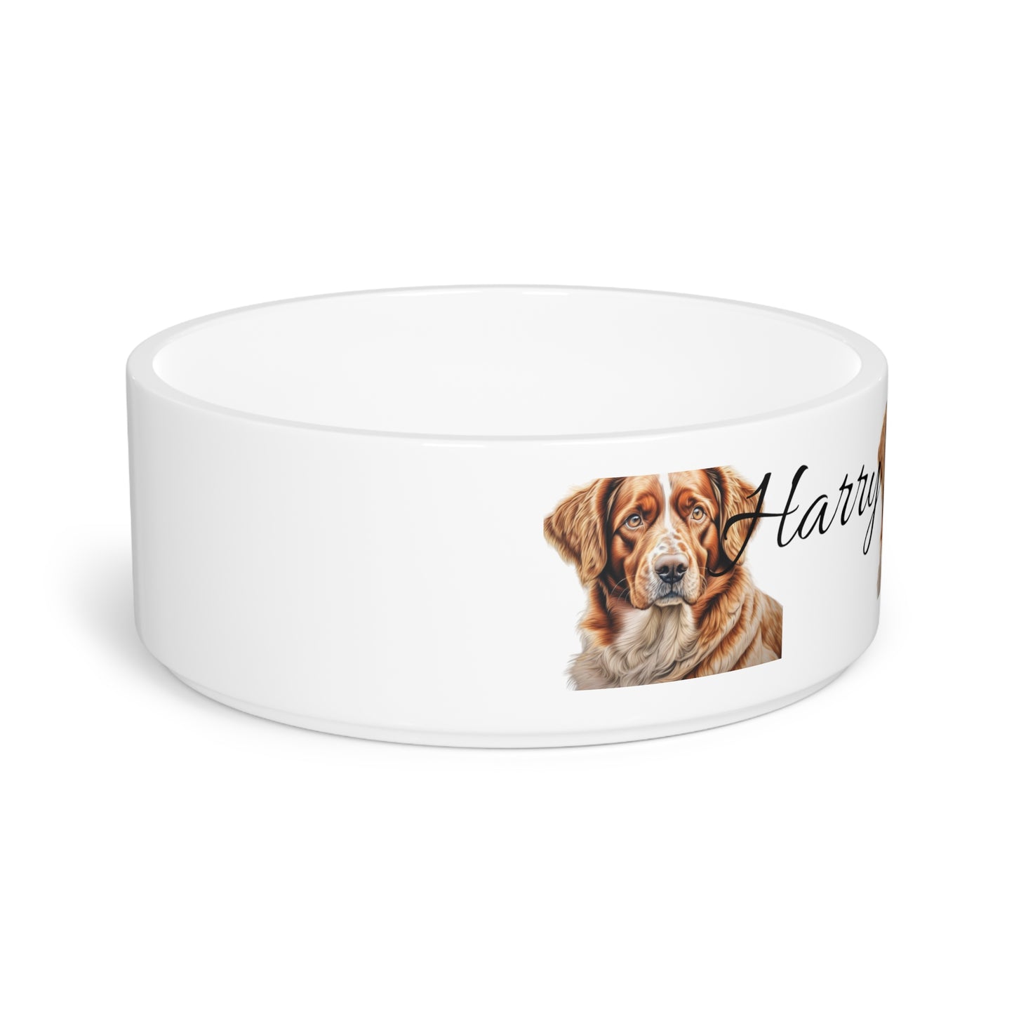 Pet Bowl