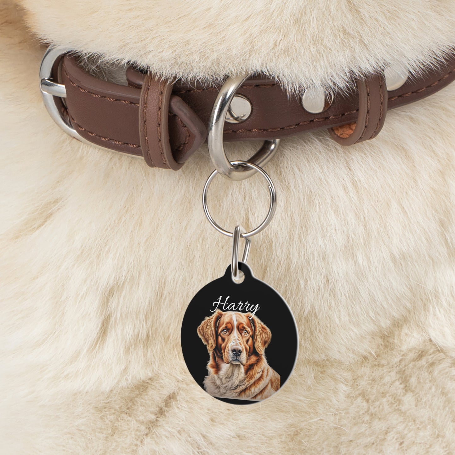 Pet Tag
