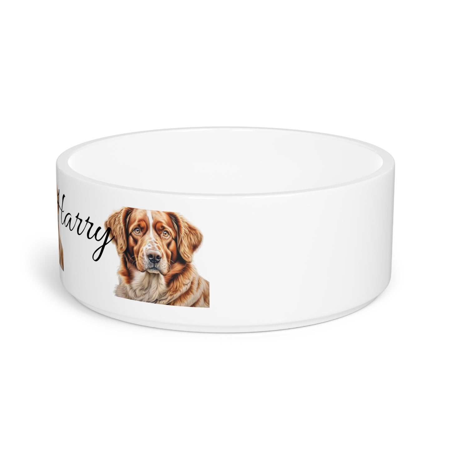 Pet Bowl