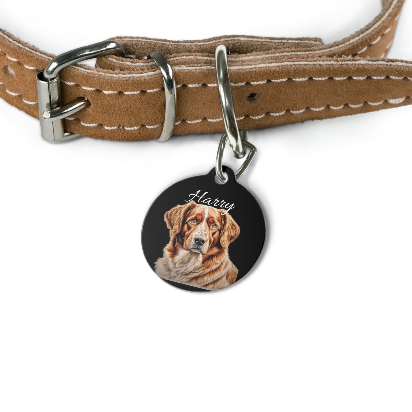 Pet Tag