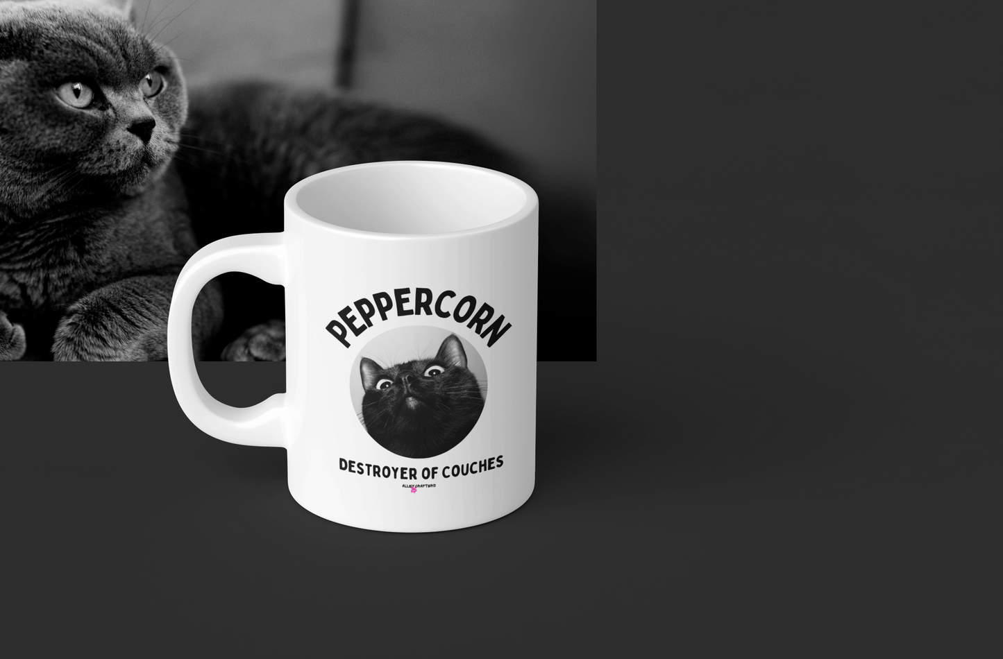 Funny Cat Mug