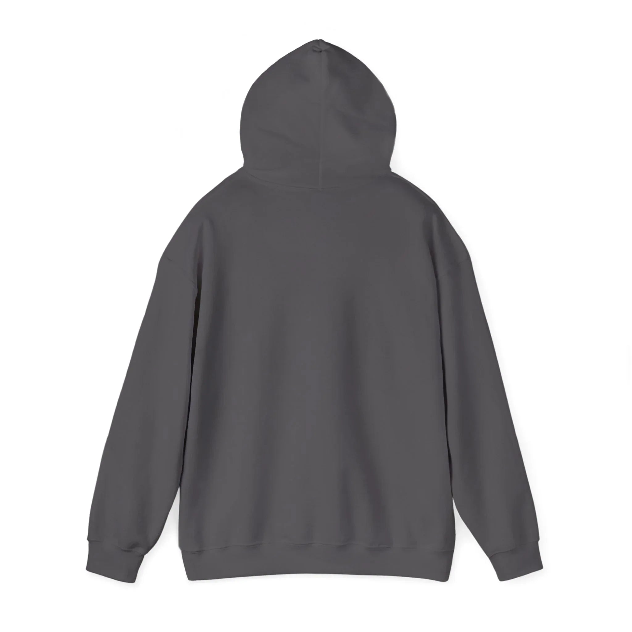 Dark gray pullover hoodie with hood and long sleeves, back view