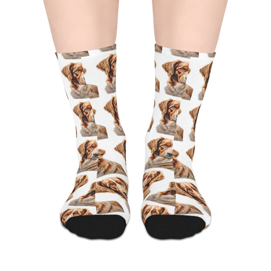 Personalised Pet Socks