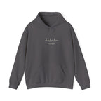 Charcoal hoodie with kangaroo pocket, drawstring hood, and “delulu VIBES” print