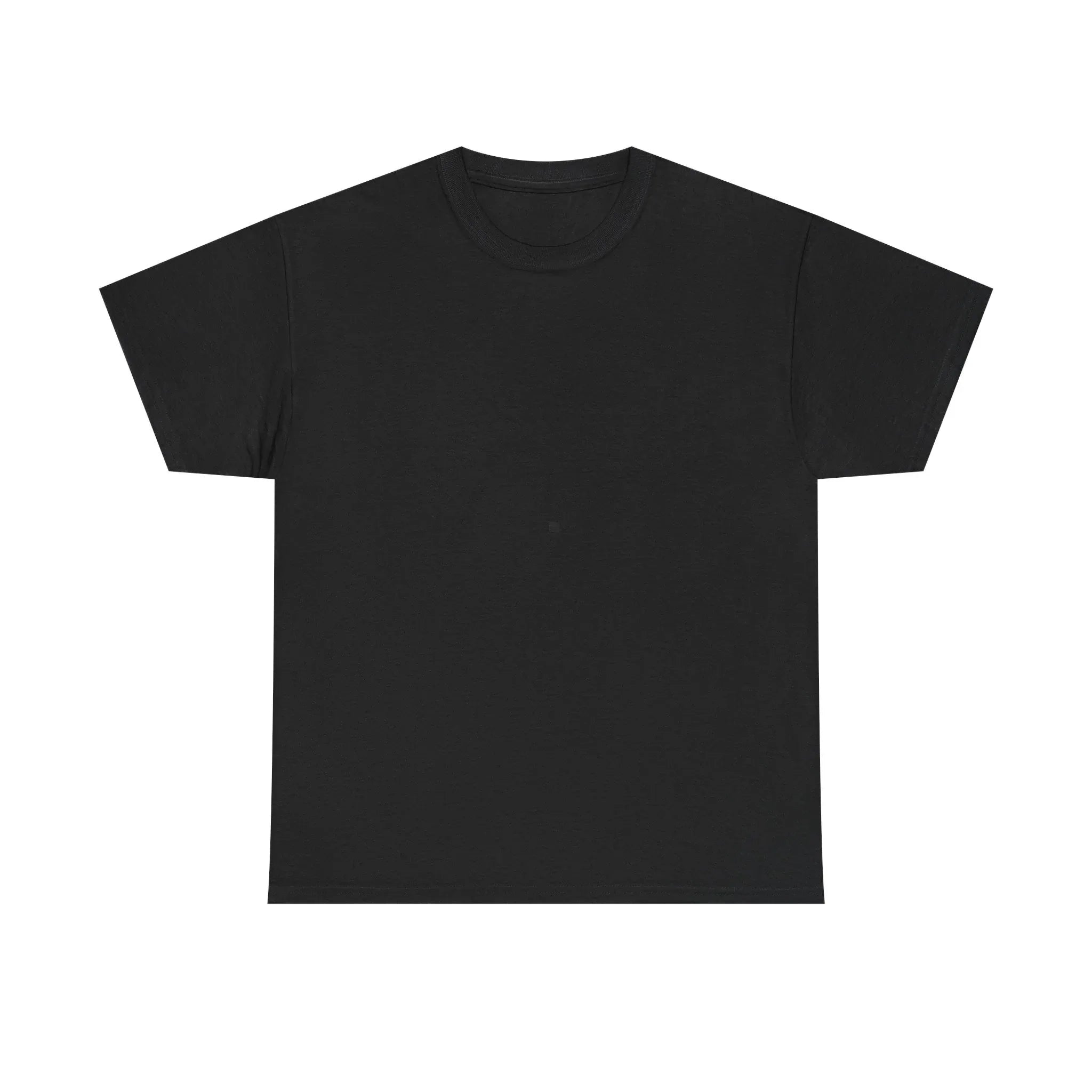 Black heavy cotton T-shirt with crew neck and short sleeves, unisex fit.