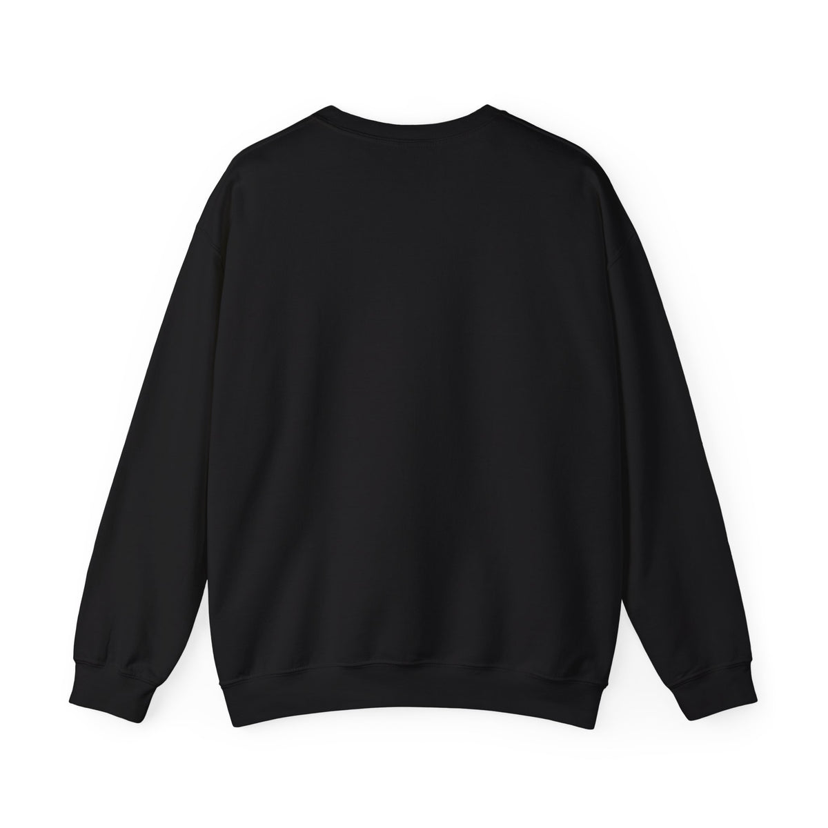 Black crewneck sweatshirt with no front print