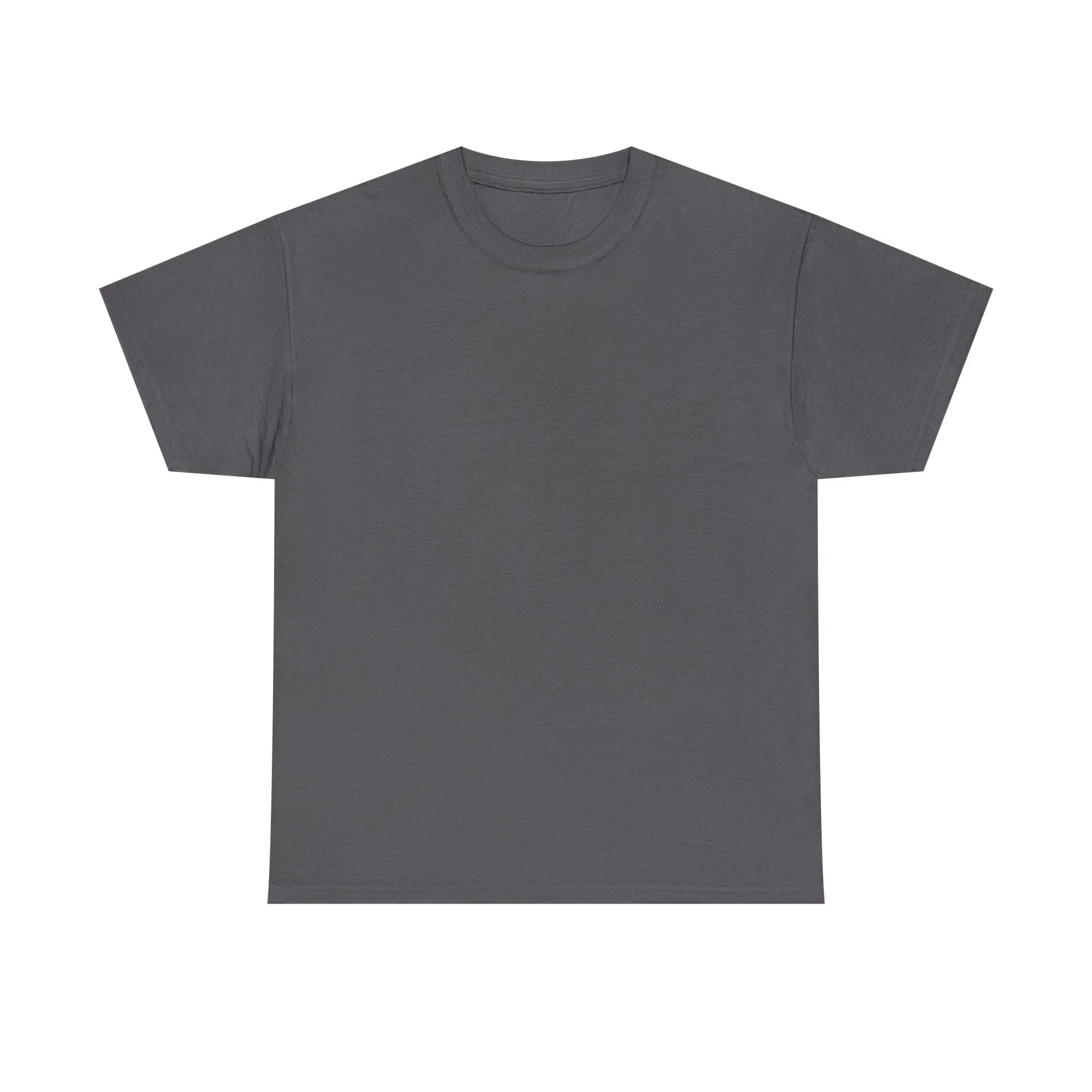 Charcoal gray heavy cotton T-shirt with crew neck and short sleeves, unisex fit.