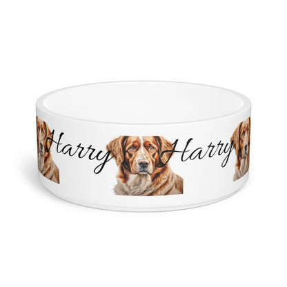 Pet Bowl