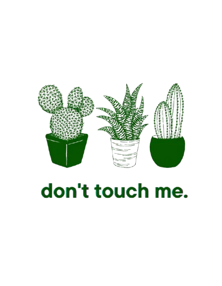 Green cactus icons with "don't touch me." text on a hoodie front