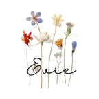 Dried wildflower design artwork with handwritten "Evie" text.
