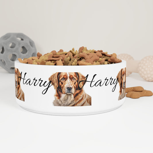 Pet Bowl