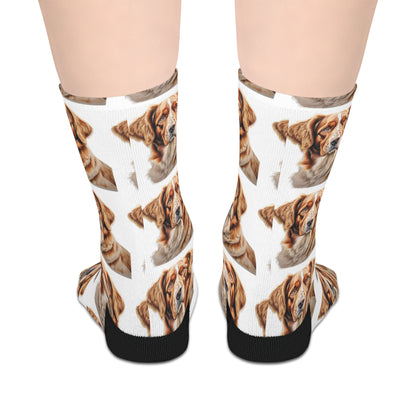 Personalised Pet Socks