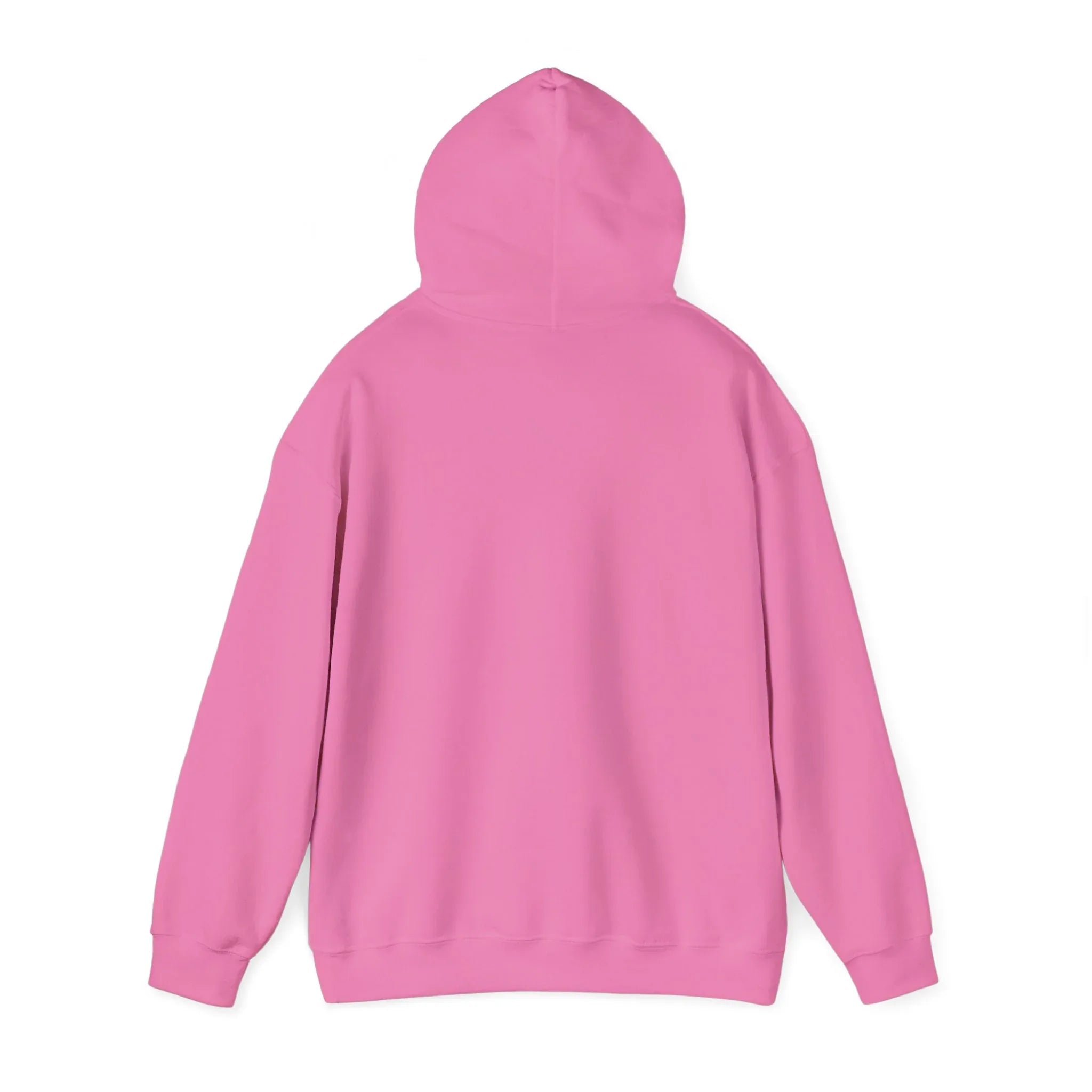 Pink hooded sweatshirt with back view, long sleeves, and kangaroo pocket