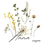 White tote bag with botanical stems and flowers graphic, cursive word at bottom