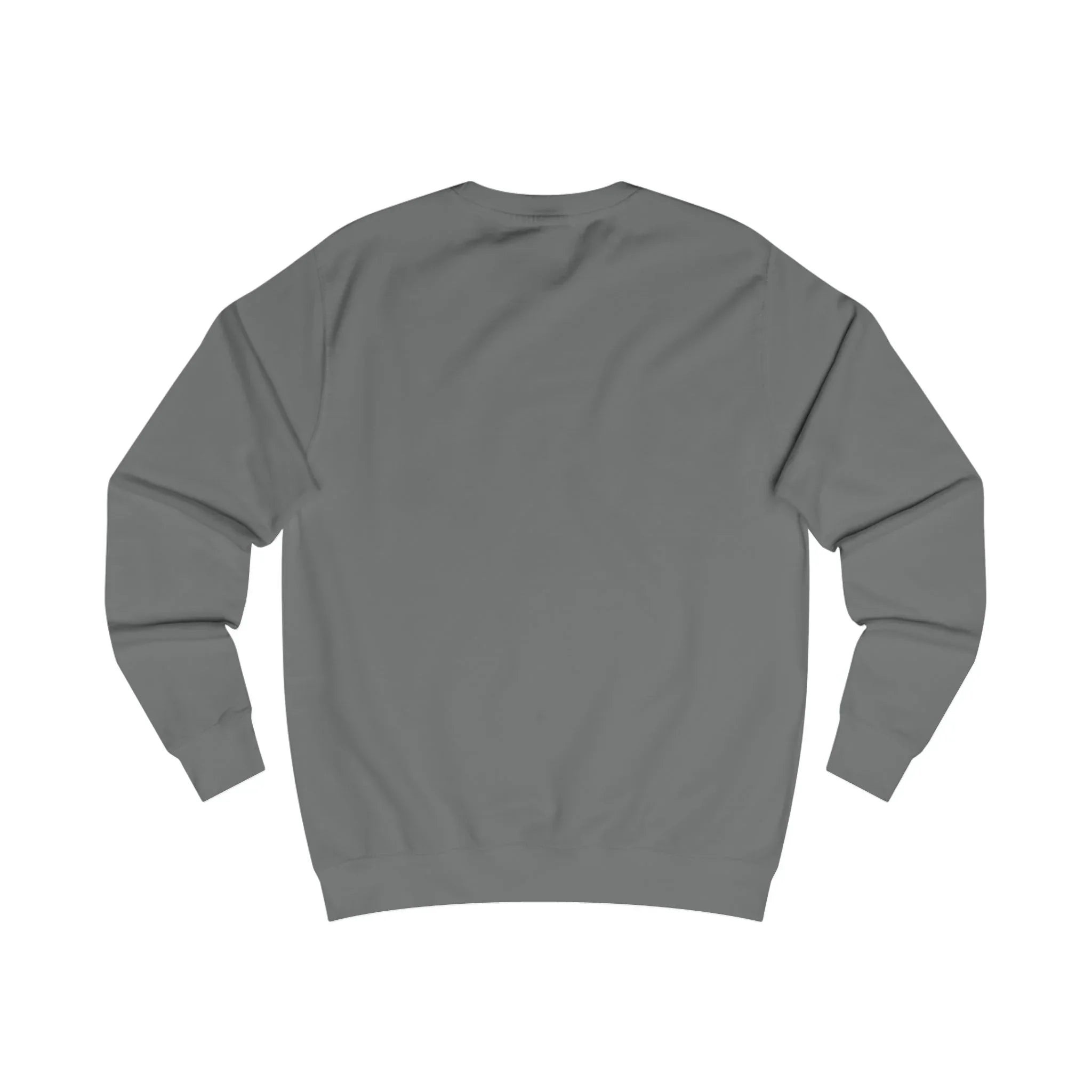 Grey sweatshirt back view, plain