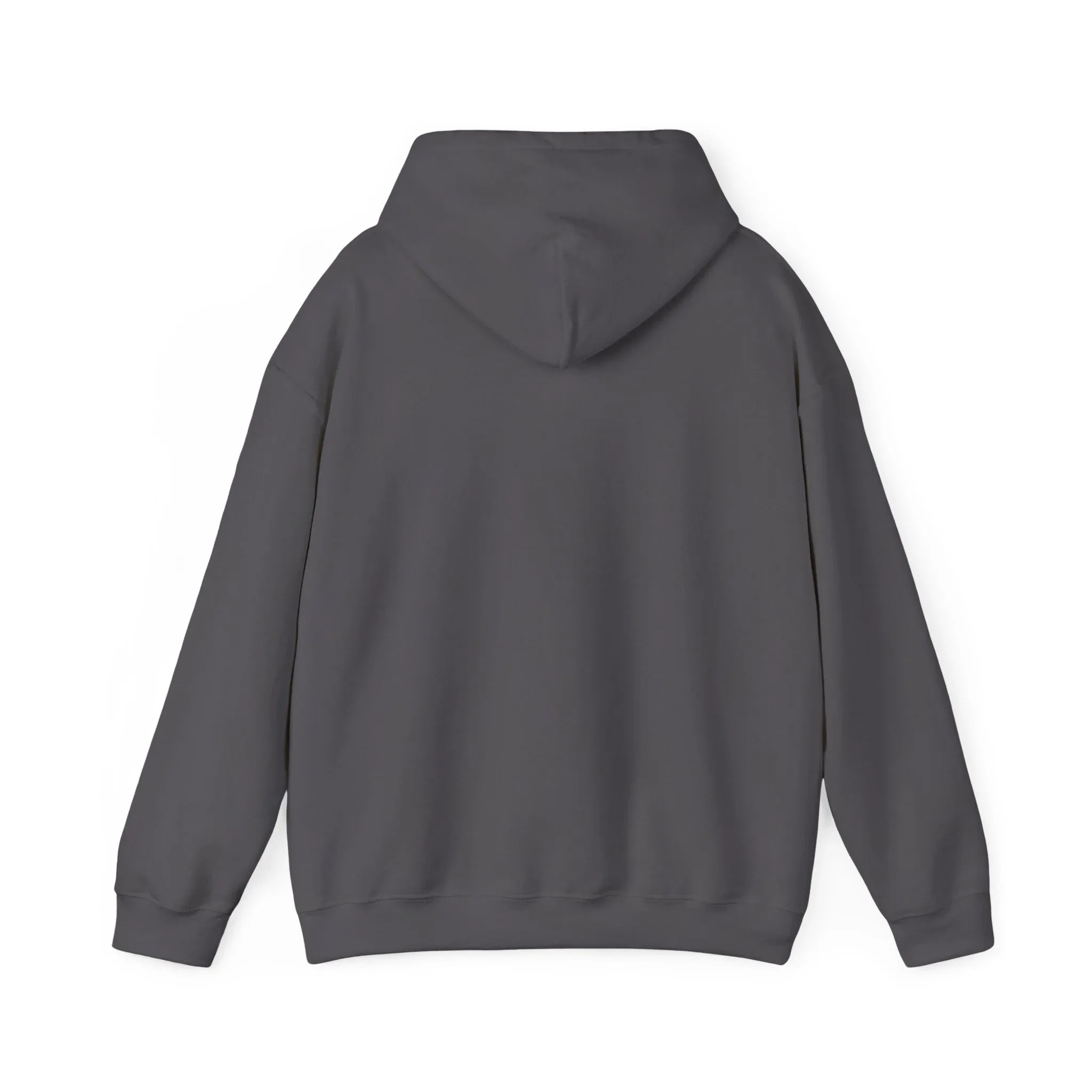 Gray pullover hoodie with hood and ribbed cuffs, back view