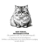 Not Today Motherfluffer Mug | Funny Cat Coffee Cup | Sarcastic Gift - AlleyCrafters