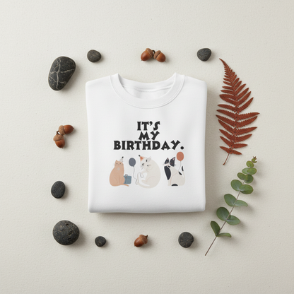 Birthday Cat Flat Lay 3