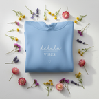 Light blue hoodie with drawstring hood and “delulu vibes” slogan with small heart