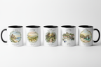 Clean White Studio – Minimal Row