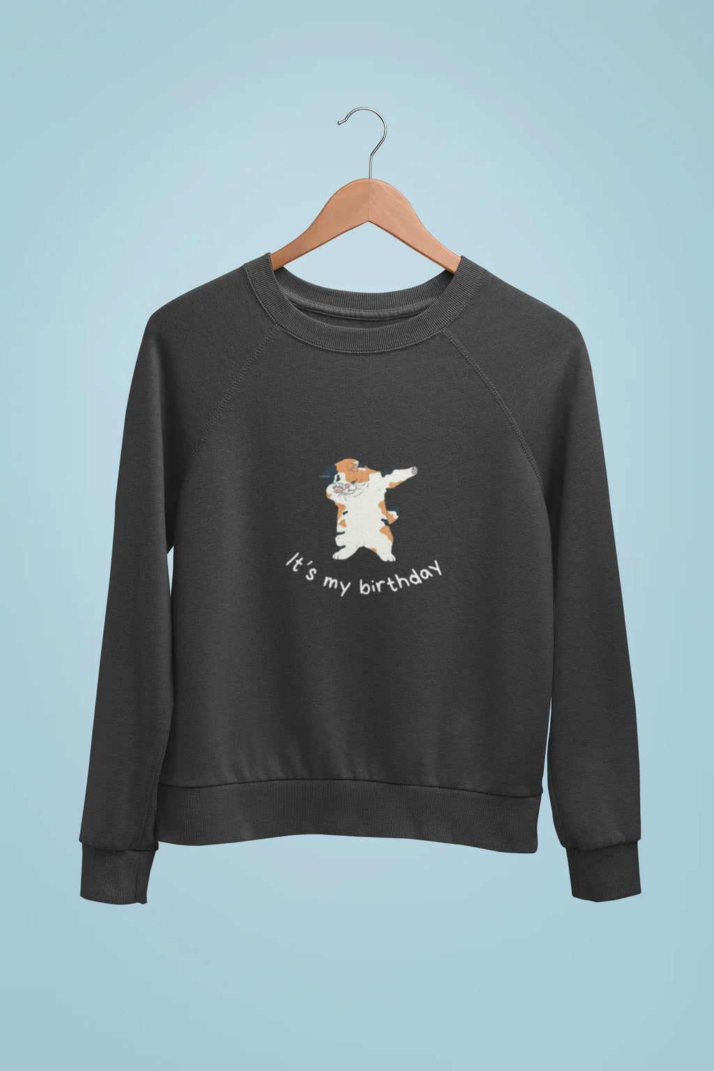 Kids sweatshirt, dark gray with dabbing cat “It’s my birthday” graphic