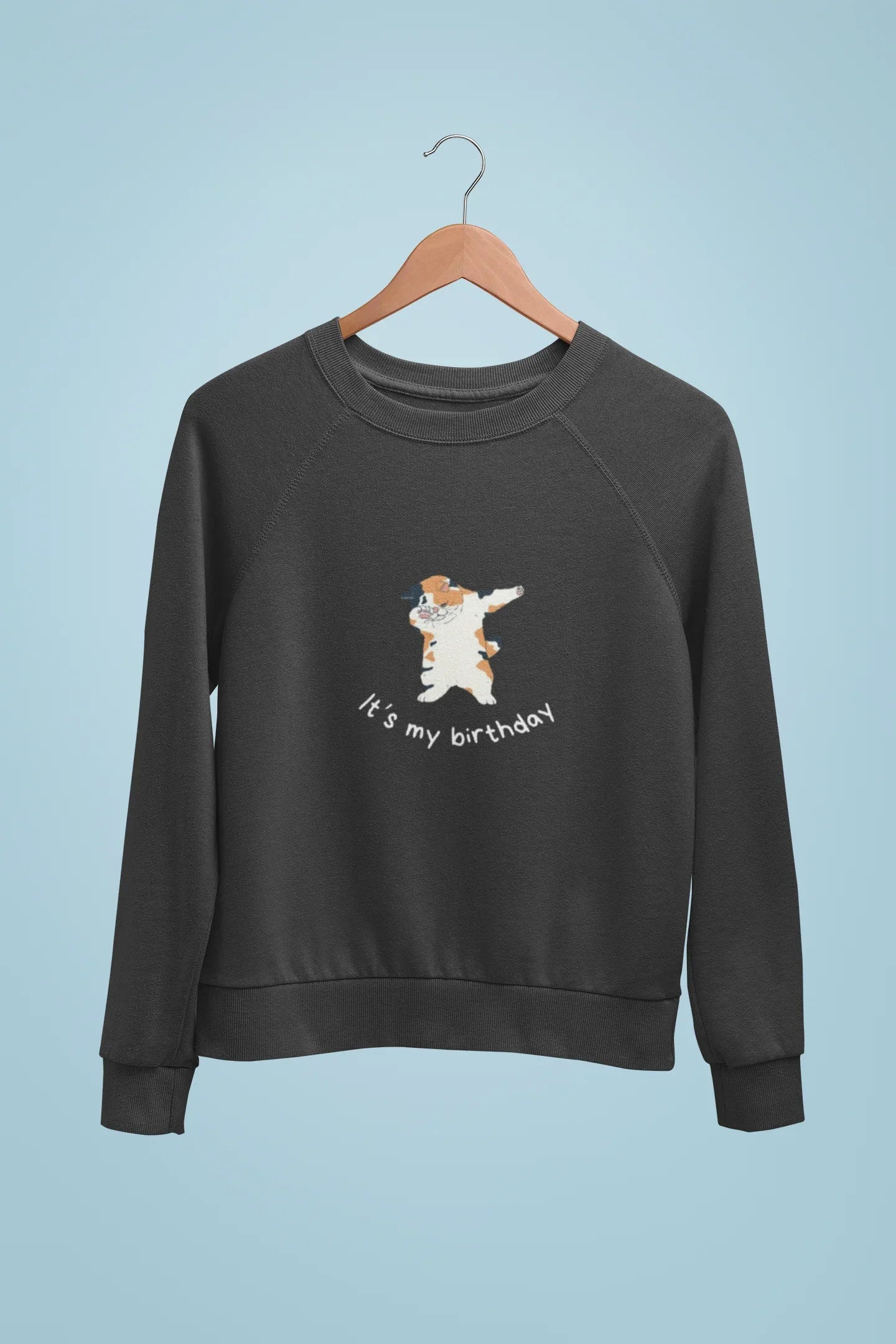 Kids sweatshirt, dark gray with dabbing cat “It’s my birthday” graphic