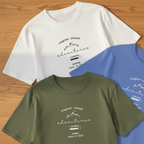 Display — trio fanned oak