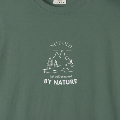 Extreme graphic zoom