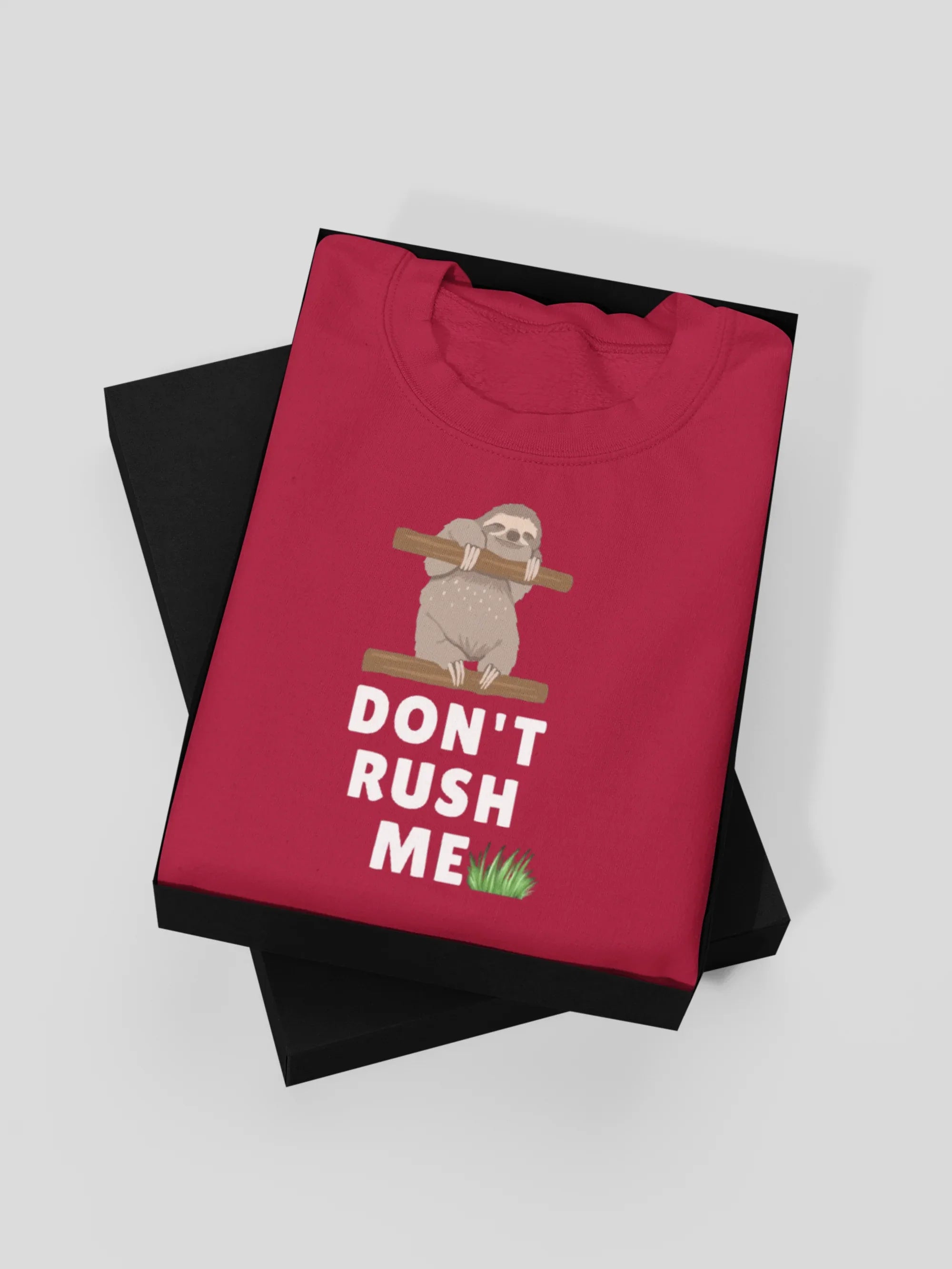 Don’t Rush Me Sloth Sweatshirt – Funny Animal Jumper - Alley Crafters