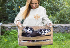 My Therapist Has Four Legs Sweatshirt - Alley Crafters