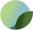 Leaf icon with blue-green gradient