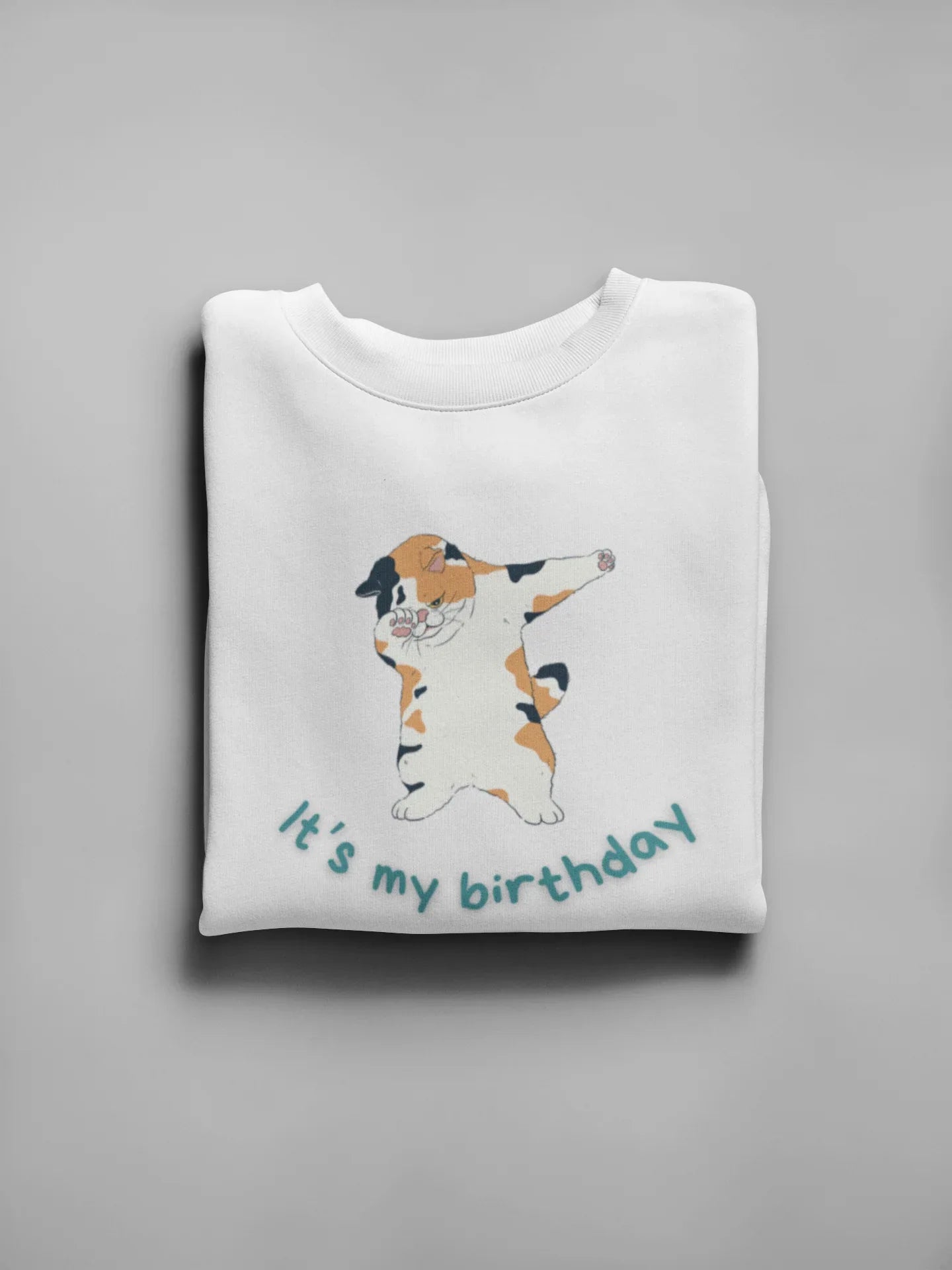 Kids sweatshirt, white crewneck with dabbing cat “It’s my birthday” graphic
