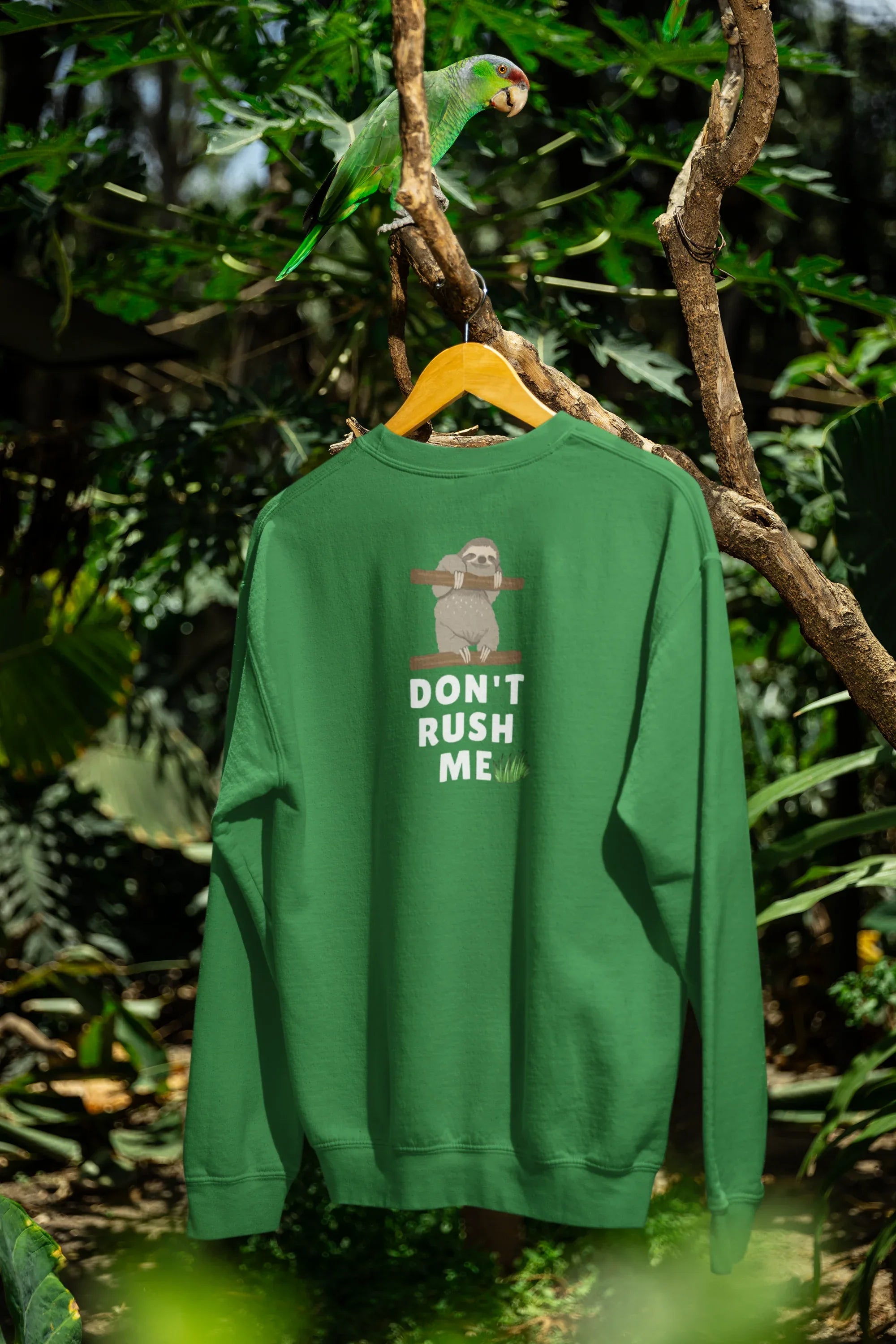 Don’t Rush Me Sloth Sweatshirt – Funny Animal Jumper - Alley Crafters