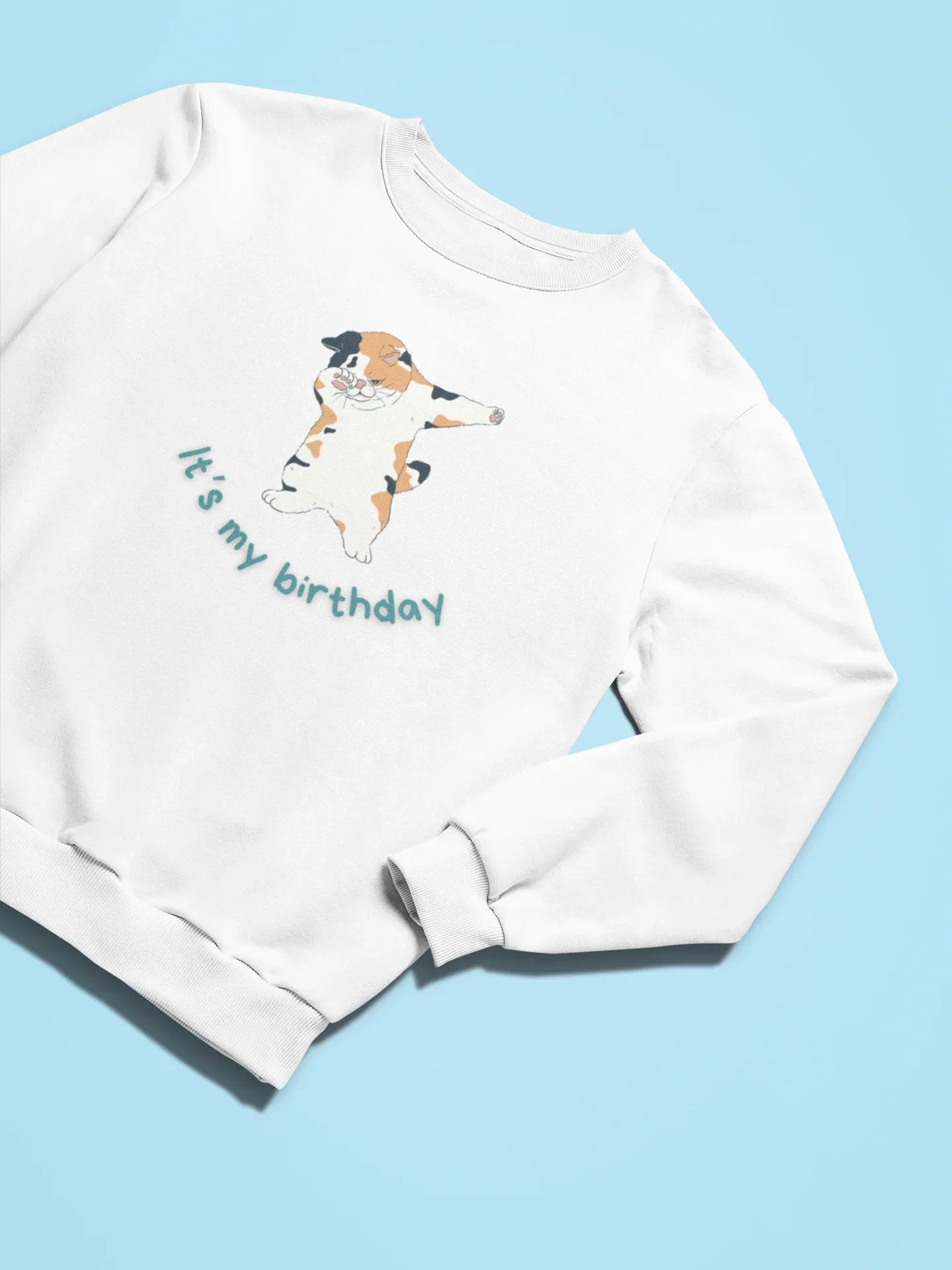 Kids sweatshirt, white long-sleeve with dabbing cat “It’s my birthday” print