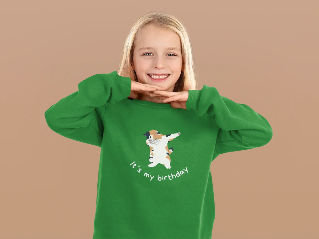 Kids sweatshirt, green with dabbing cat and “It’s my birthday” design